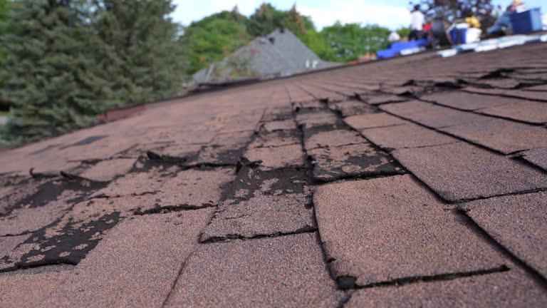 Best Flat Roofing  in Clarkton, MO